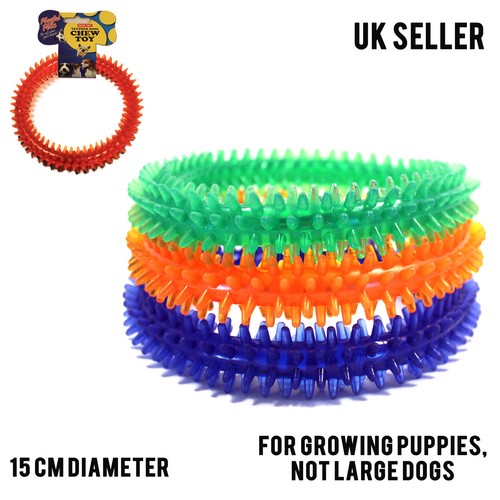 Dog chew toy - dog, ring