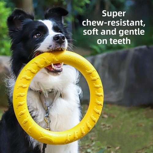 Dog chew rings - dog,
