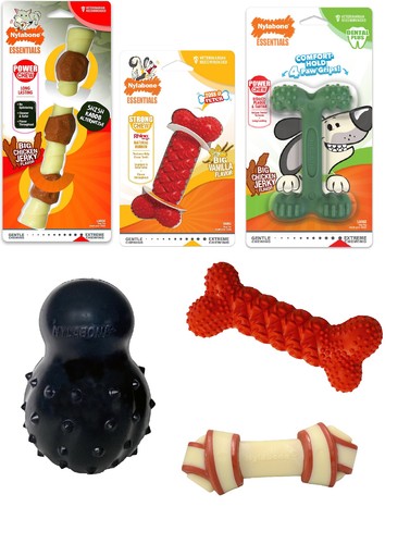 Nylabone dog toy chew bones - dog,