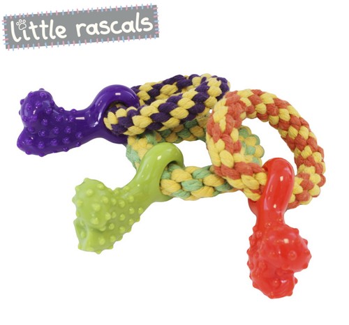Little rascals dog puppy - little,