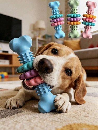 Multicoloured rubber bone chew